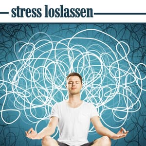 Stress Loslassen: Eine Entspannende Musiksammlung zum Stressabbau, Meditation und Schlaflosigkeit - Entspannungsmusik Oase