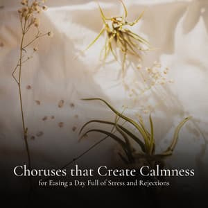 Choruses that Create Calmness for Easing a Day Full of Stress and Rejections - World Relax Song