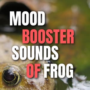 Mood Booster Sounds of Frog - Frog Sounds