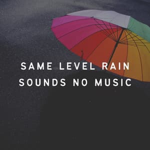Same Level Rain Sounds No Music - Lullaby Rain
