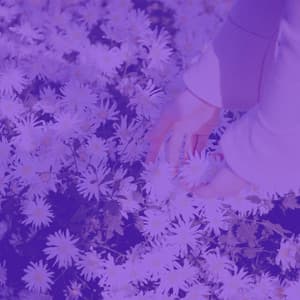 Music for Afternoon Relaxation - Cleaning Music