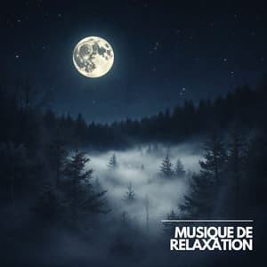 Légèreté de la Nuit pour un Sommeil Profond - Musique Calme et Relaxation