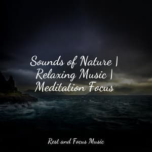Sounds of Nature | Relaxing Music | Meditation Focus - White Noise Baby Sleep