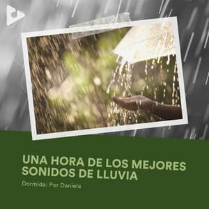 1 Hora de los Mejores Sonidos de Lluvia - Dormida: Por Daniela