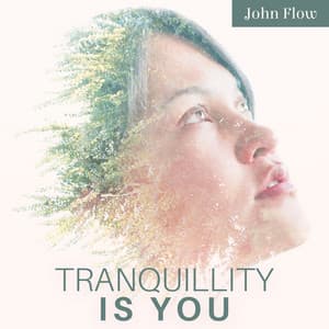 Tranquillity Is You: Serene Music to Give Rest to Your Mind and Body, Say No to Toxicity, Learn to See Positivity - John Flow