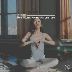 Soft Meditation Music for Study - Background Sound Effects Meditation Spa
