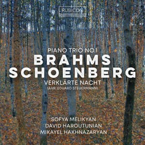 Brahms: Piano Trio No. 1 - Schoenberg: Verklärte Nacht - Johannes Brahms