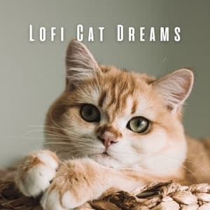 Lofi Cat Dreams: Cozy Tunes for Kitties - Lofi Quality Content