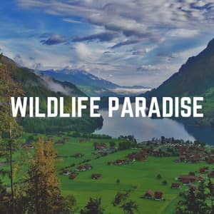 Wildlife Paradise - Zen Garden Secrets