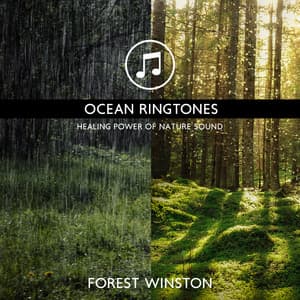 Ocean Ringtones - Healing Power of Nature Sounds for Sleep and Relaxation, Calming Waters - Forest Winston