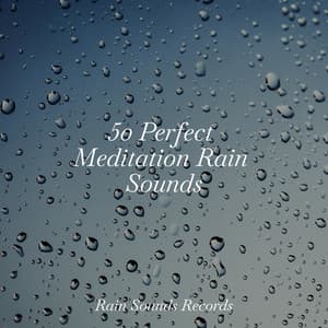 50 Perfect Meditation Rain Sounds - Japanese Relaxation and Meditation
