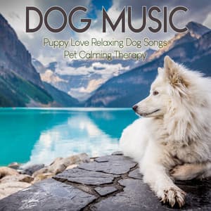 Dog Music : Puppy Love Relaxing Dog Songs, Pet Calming Therapy - Dog Music Zone