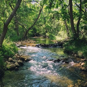 Canciones De Cuna Binaurales Del Agua Para Dormir Bebés - Silenciador del sueño del bebé