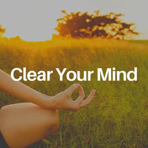 Clear Your Mind - Insomnia Relief Music