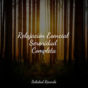 Relajación Esencial Serenidad Completa - Sonidos de lluvia para dormir