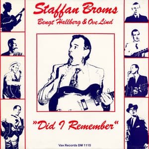Did I Remember - Staffan Broms