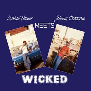 Wicked - Michael Palmer