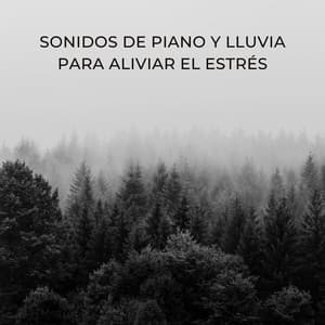 Sonidos De Piano Y Lluvia Para Aliviar El Estrés - Ricky sonido de lluvia
