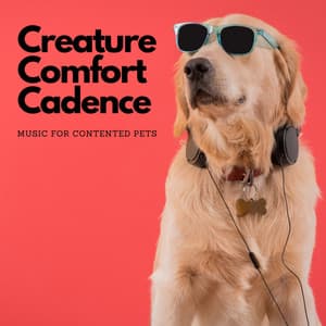 Creature Comfort Cadence: Music For Contented Pets - Chill Out Town