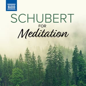 Schubert For Meditation - Franz Schubert