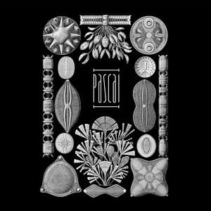 Orkanen närmar sig - Pascal