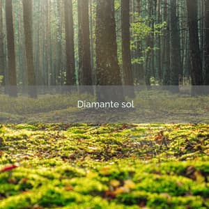 2 0 2 3 Diamante sol - Relajacion Ariel