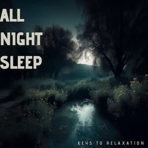 All Night Sleep - Keys to Relaxation