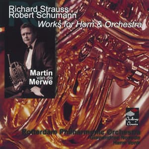 Works for Horn & Orchestra - Martin Van De Merwe