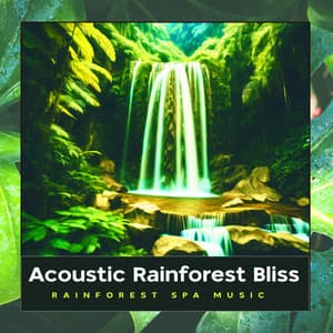 Acoustic Rainforest Bliss - Rainforest Spa Music