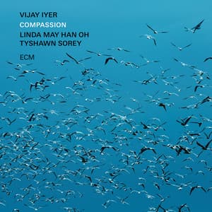 Compassion - Vijay Iyer