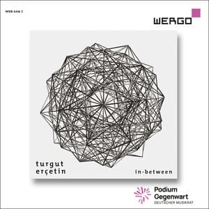 Erçetin: in-between - Turgut Erçetin