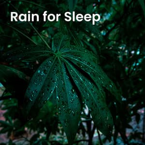 Rain for Sleep - Natural Deep Sleep