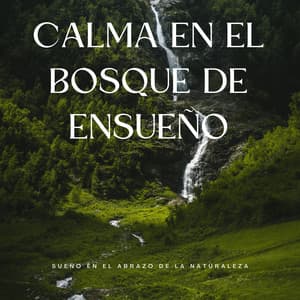 Calma En El Bosque De Ensueño: Sueño En El Abrazo De La Naturaleza - Estrellita Dónde Estás
