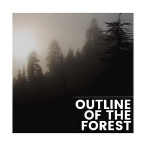 Outline of the Forest - Nature Hiker