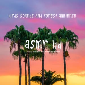 Asmr - Birds Sounds and Forest Ambience - ASMR HD