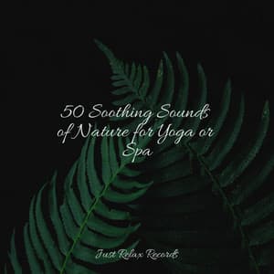 50 Soothing Sounds of Nature for Yoga or Spa - Sleep Music Lullabies