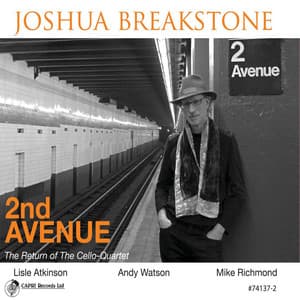 2nd Avenue - Joshua Breakstone