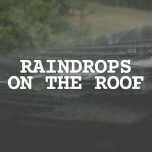 Raindrops on the Roof - The Rain Factory