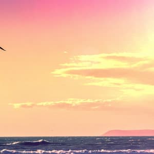 1 Coastal Night: Relaxing Seas - Seascapers