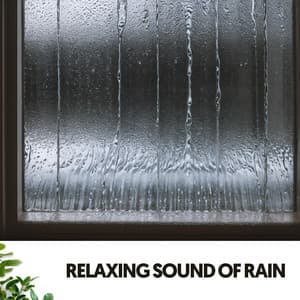 Study & Work Music: Melodies from the Storm - Dog Relaxation