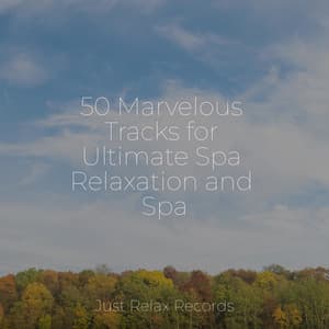 50 Marvelous Tracks for Ultimate Spa Relaxation and Spa - Nature Sounds Nature Music