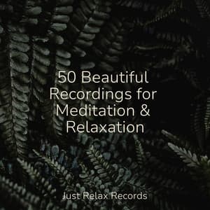 50 Beautiful Recordings for Meditation & Relaxation - Lounge relax