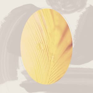 Guitar Bossa Nova - Mellow Sunday Morning Music