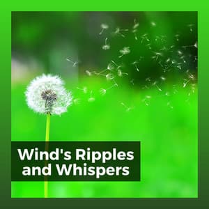 Wind's Ripples and Whispers - Sound of Nature Library