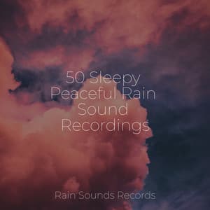 50 Sleepy Peaceful Rain Sound Recordings - Reiki Music
