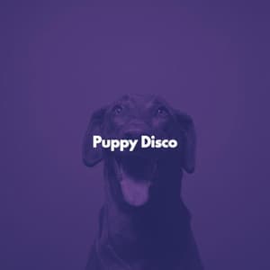 Puppy Disco - Vintage Cafe Playlist