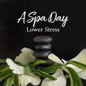 A Spa Day: Lower Stress, Music for Massage, Wellness, Relaxation, Healing, Beauty & Well-being, Meditation - Home SPA Collection