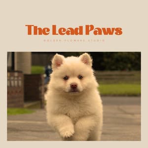 The Lead Paws - Sleeping Music For Dogs