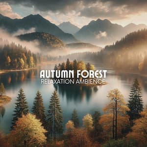 Autumn Forest Relaxation Ambience - World of Singing Birds and Trees