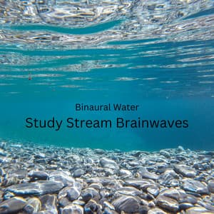 Binaural Water: Study Stream Brainwaves - 528Hz Open Heart Chakra